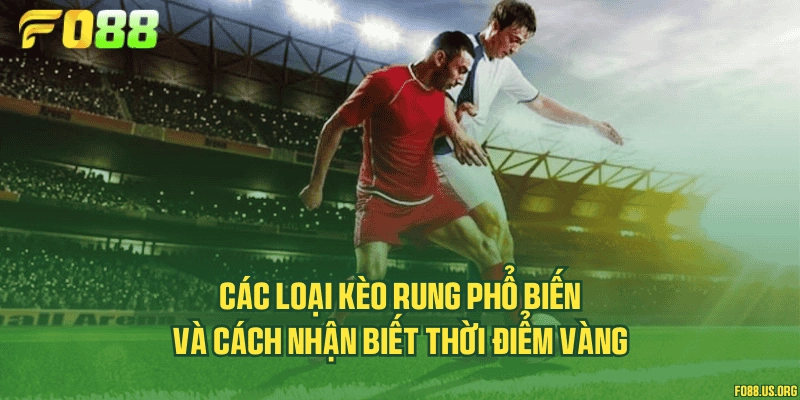 Các loại kèo rung phổ biến và cách nhận biết thời điểm vàng